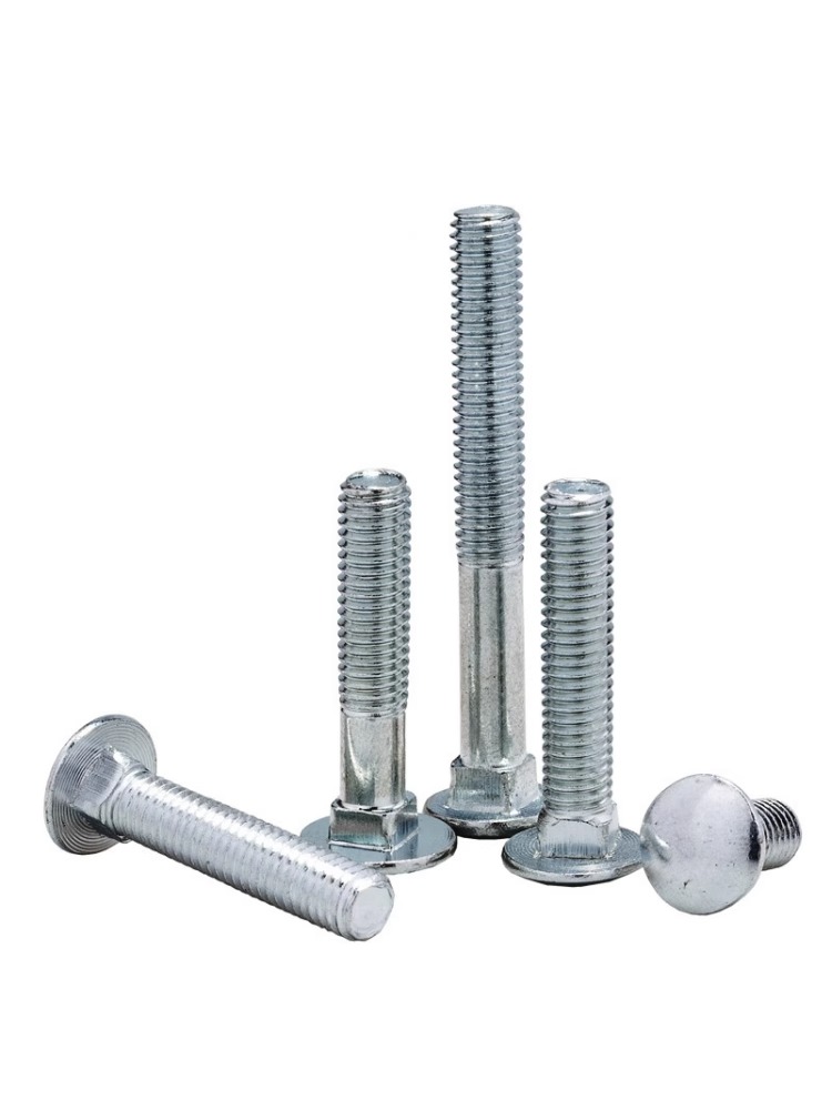 DIN603 CARRIAGE BOLT